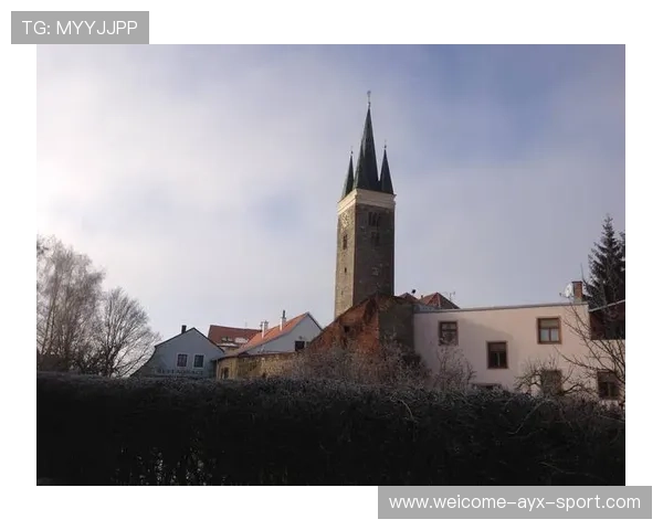 更加成熟的泰尔齐奇，带领球队再攀高峰，泰尔奇小镇