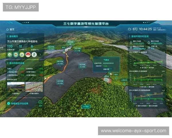 赛车赛事观众体验数字化创新分析(276 ) 赛车赛事观众体验数字化创新分析(276 )