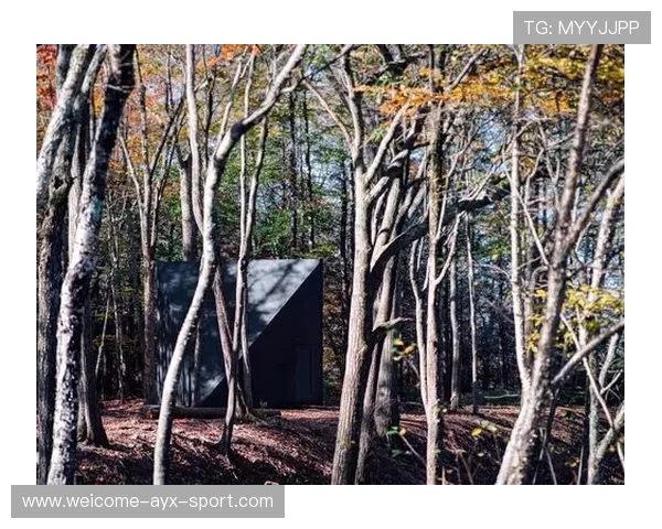 模块化运动场地材料对不同季节适应性的评估
